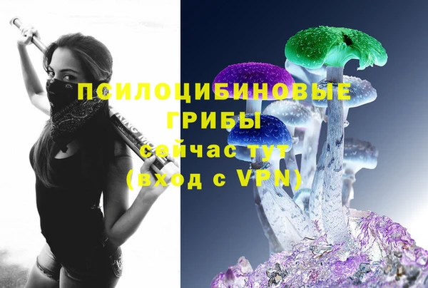 индика Заводоуковск