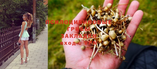 гашишное масло Алексин