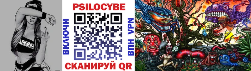 купить Лаишево Галлюциногенные грибы Psilocybine cubensis